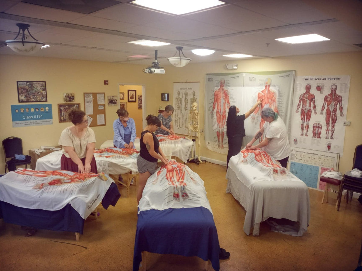 Massage classroom with life-size anatomy sheets draped over treatment tables