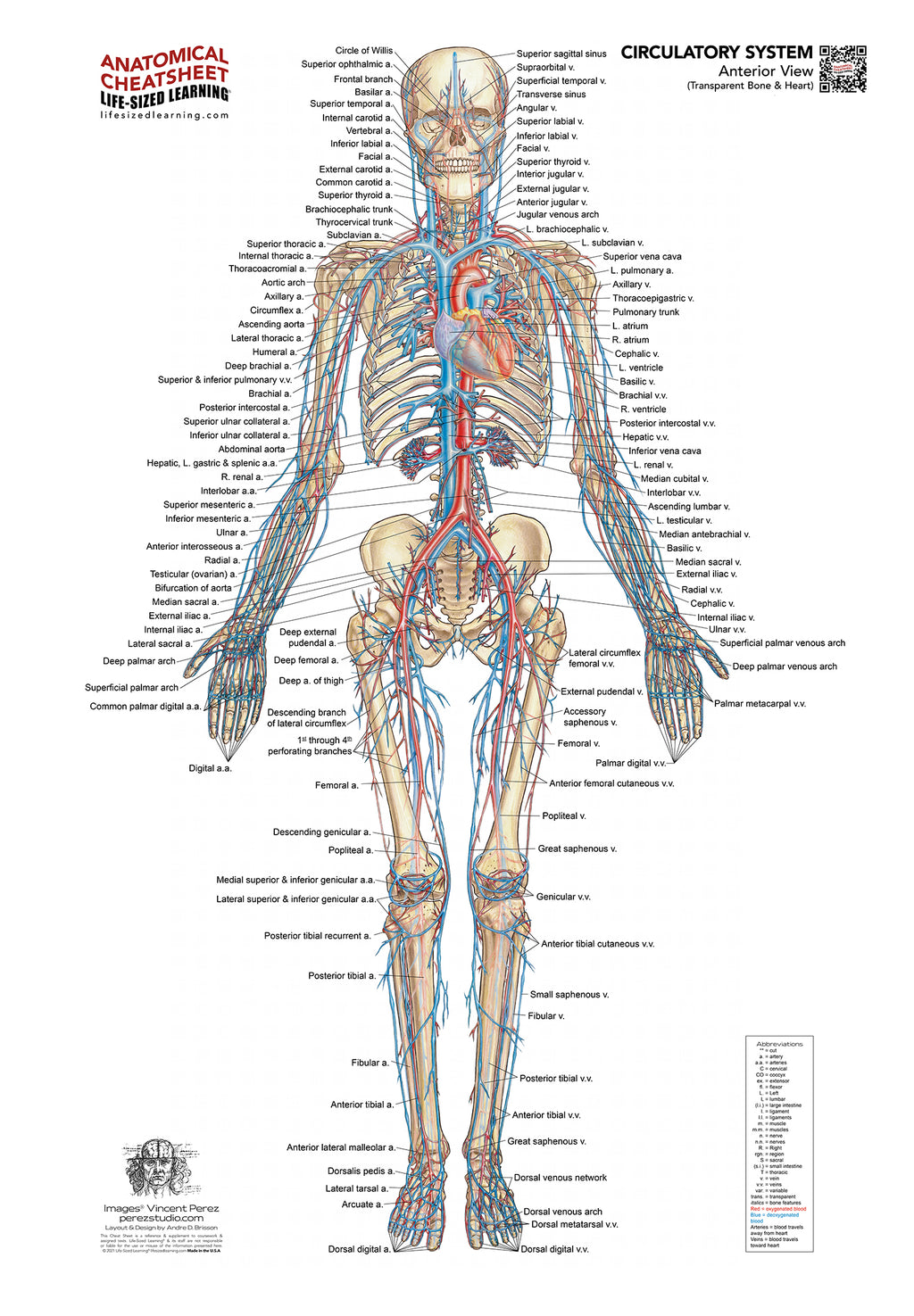 Advanced Body Work Collection